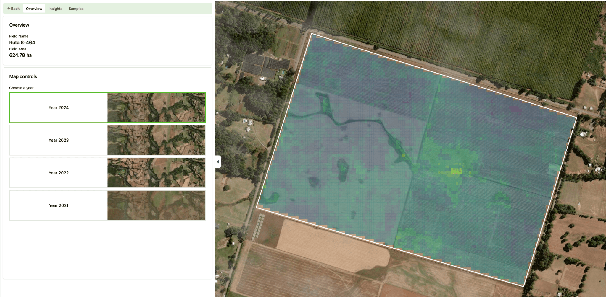 AI Model Visualization