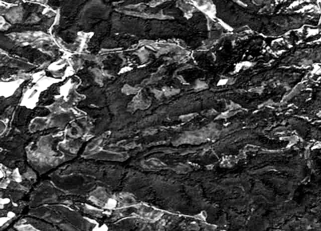 SAR backscatter texture over same AOI