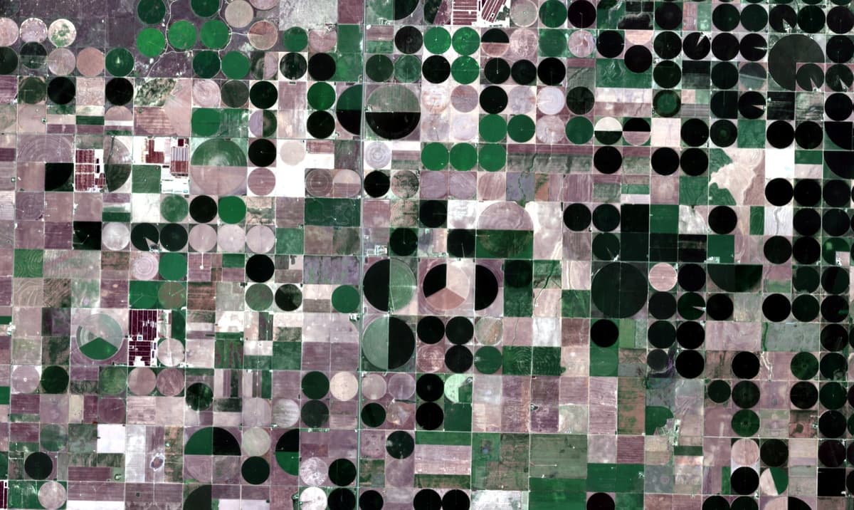 A wall-to-wall soil baseline
